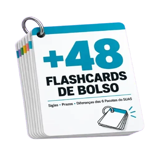 Bônus 1, +48 Flashcards de Bolso