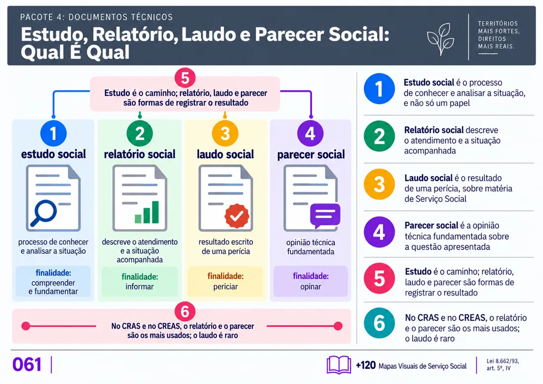 Mapa 061: Estudo, Relatório, Laudo e Parecer Social: Qual É Qual
